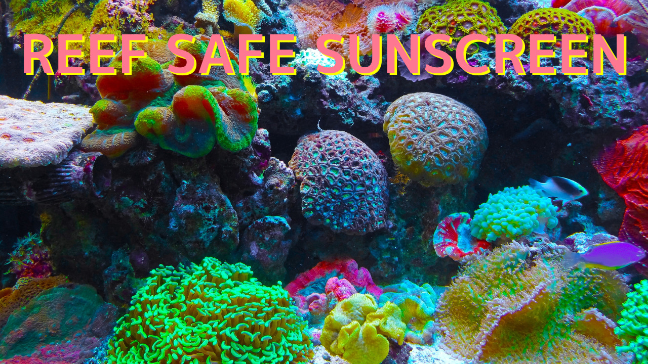 reef safe sunscreen